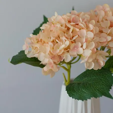 Dom Przy Okrzei By Renters Prestige Apartment *