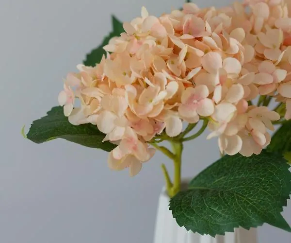 Dom Przy Okrzei By Renters Prestige Apartment *